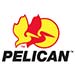 Pelican