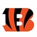 Cincinnati Bengals