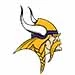 Minnesota Vikings